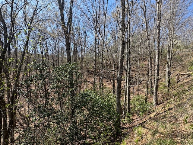 000 Holland Farm Road, ANDREWS, North Carolina image 13