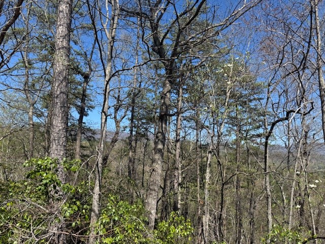 000 Holland Farm Road, ANDREWS, North Carolina image 17