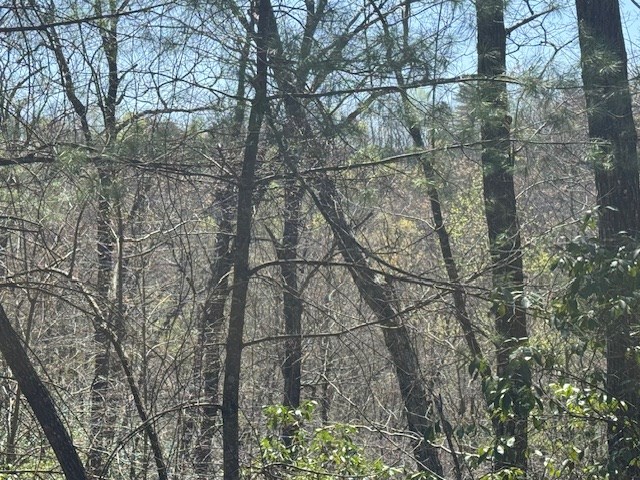 000 Holland Farm Road, ANDREWS, North Carolina image 4