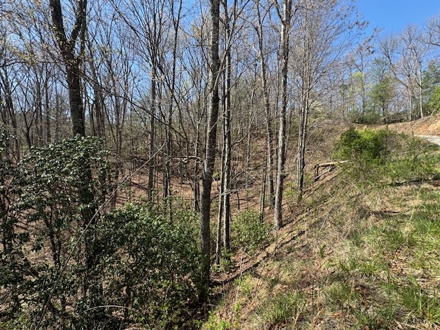 000 Holland Farm Road, ANDREWS, North Carolina image 11