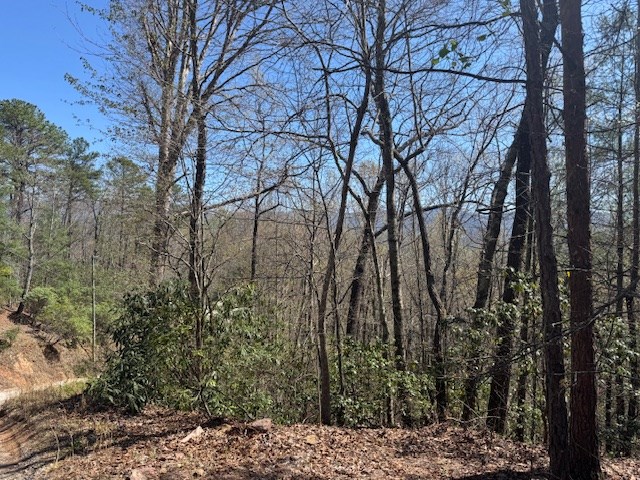 000 Holland Farm Road, ANDREWS, North Carolina image 8