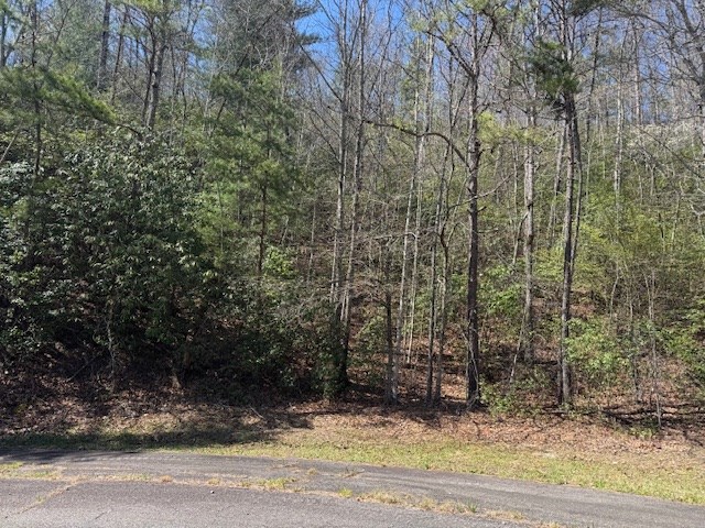 000 Holland Farm Road, ANDREWS, North Carolina image 22