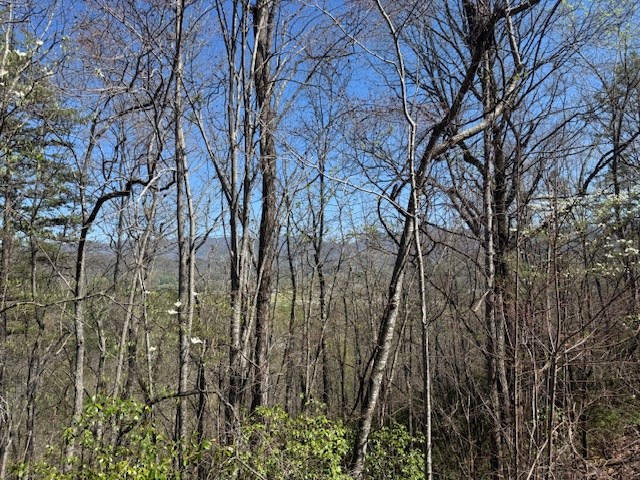000 Holland Farm Road, ANDREWS, North Carolina image 16