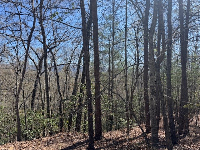 000 Holland Farm Road, ANDREWS, North Carolina image 7