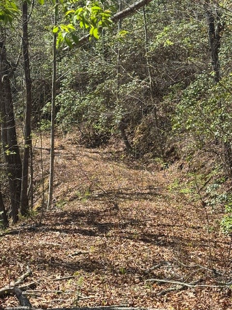 000 Holland Farm Road, ANDREWS, North Carolina image 5