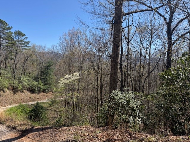 000 Holland Farm Road, ANDREWS, North Carolina image 14