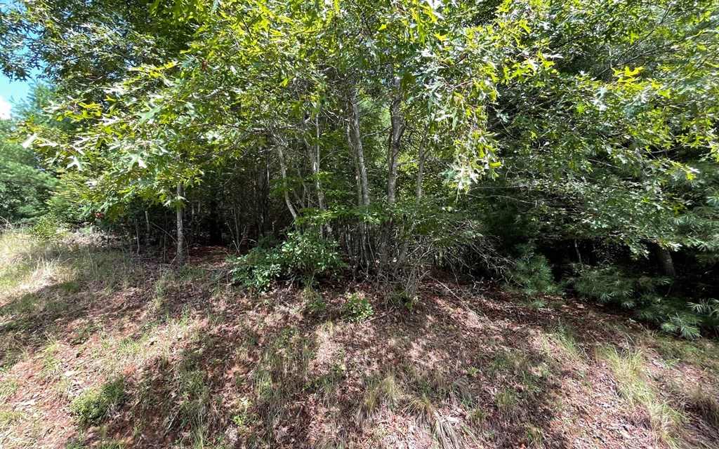 Lot 71 Fires Creek Cove #71, HAYESVILLE, North Carolina image 17