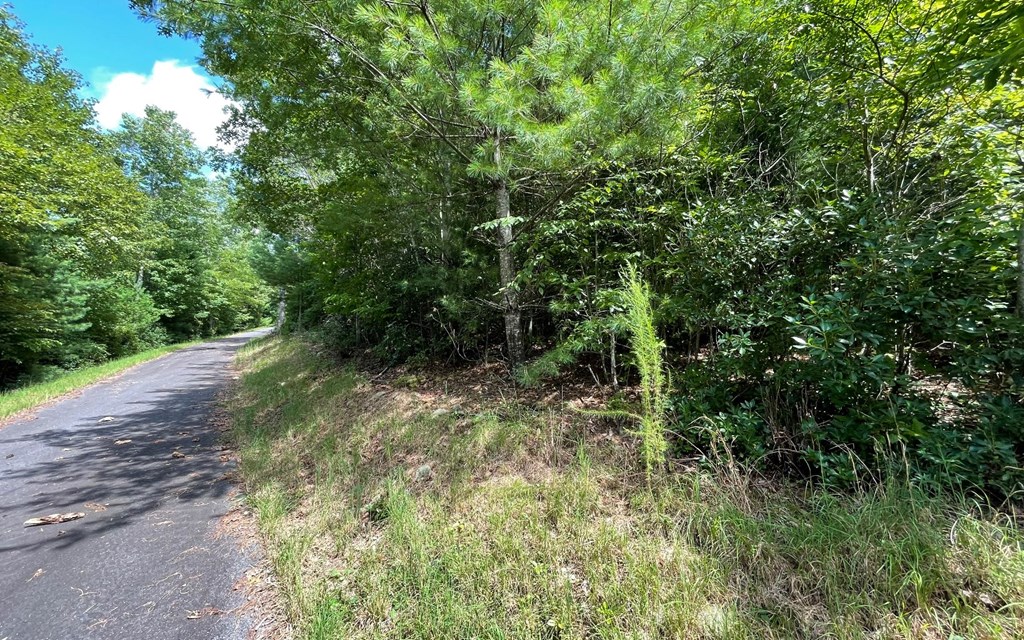 Lot 71 Fires Creek Cove #71, HAYESVILLE, North Carolina image 13