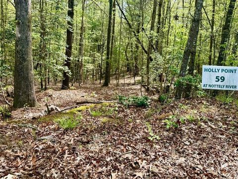 Vacant Land For Sale - 2.07 AC Rainy Farm Road #59<br/> MURPHY, NC 28906