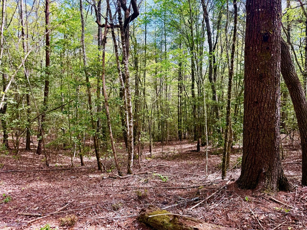2.07 Ac Rainy Farm Road #59, MURPHY, North Carolina image 10