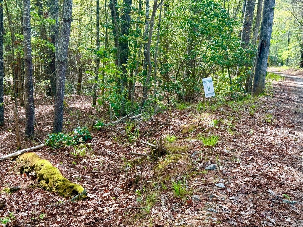 2.07 Ac Rainy Farm Road #59, MURPHY, North Carolina image 8
