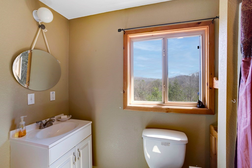223 Redbud Lane, HIAWASSEE, Georgia image 17