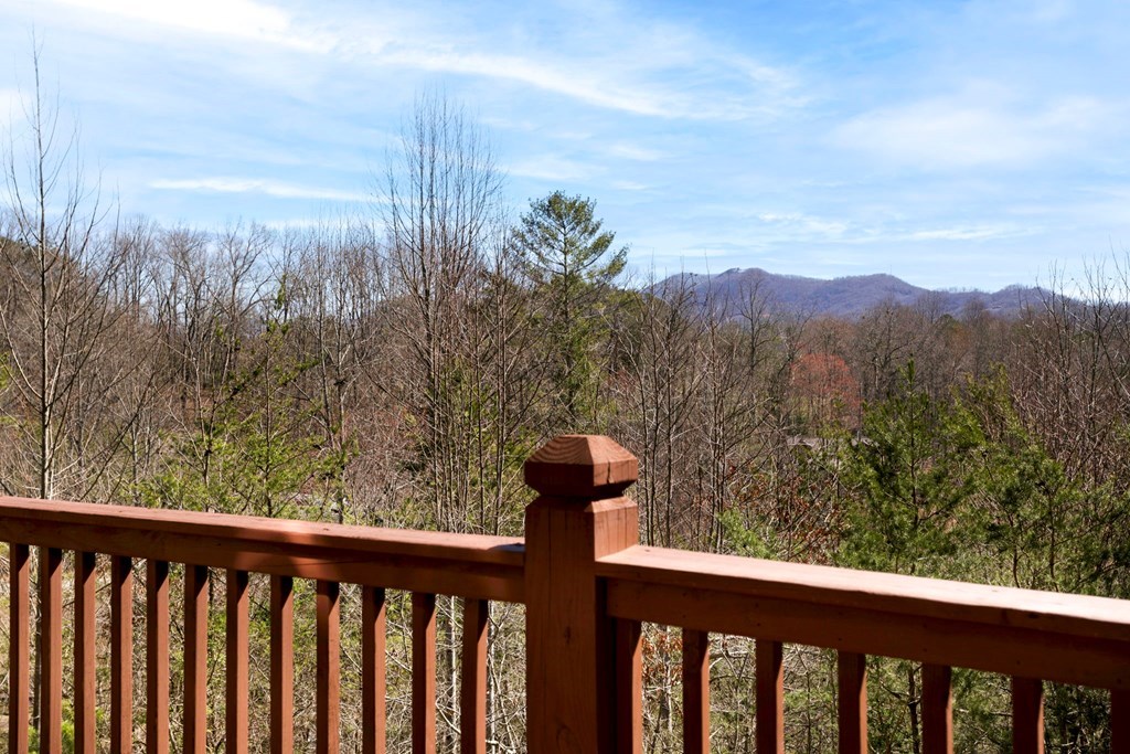 223 Redbud Lane, HIAWASSEE, Georgia image 29