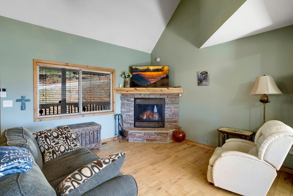 223 Redbud Lane, HIAWASSEE, Georgia image 4