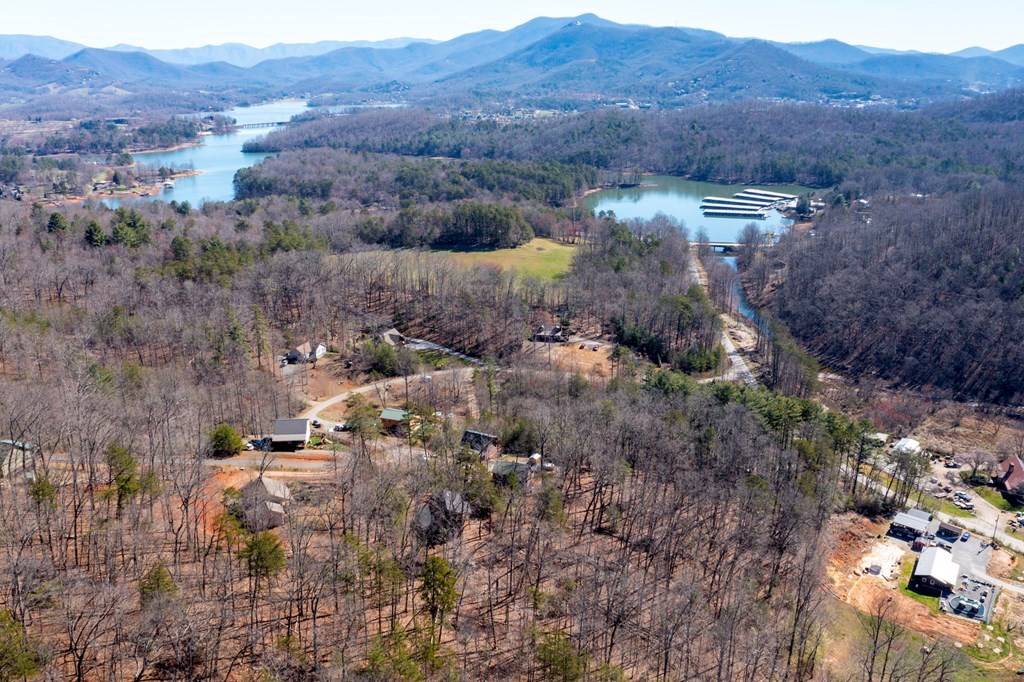 223 Redbud Lane, HIAWASSEE, Georgia image 40