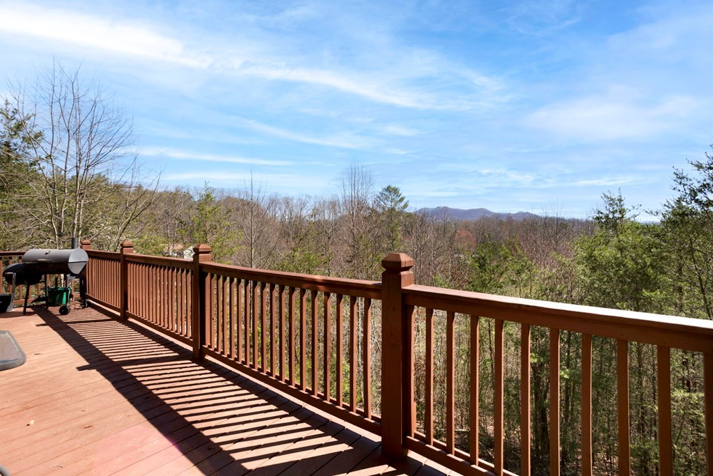 223 Redbud Lane, HIAWASSEE, Georgia image 30