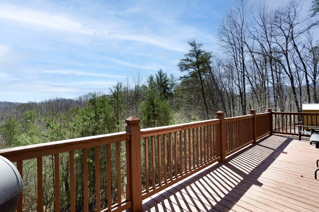 223 Redbud Lane, HIAWASSEE, Georgia image 26