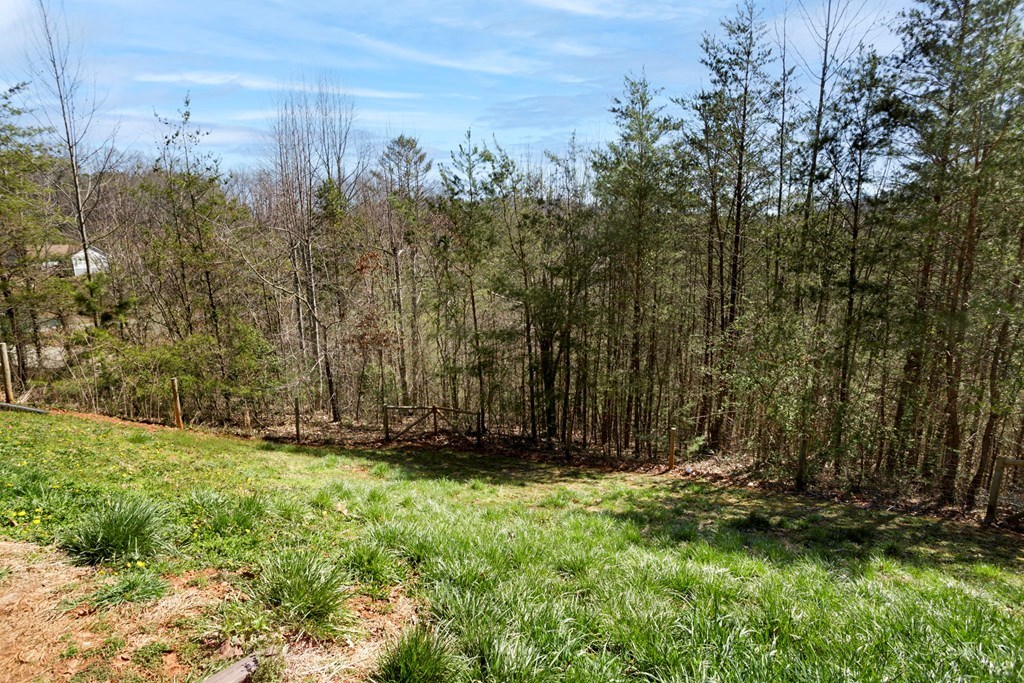 223 Redbud Lane, HIAWASSEE, Georgia image 42
