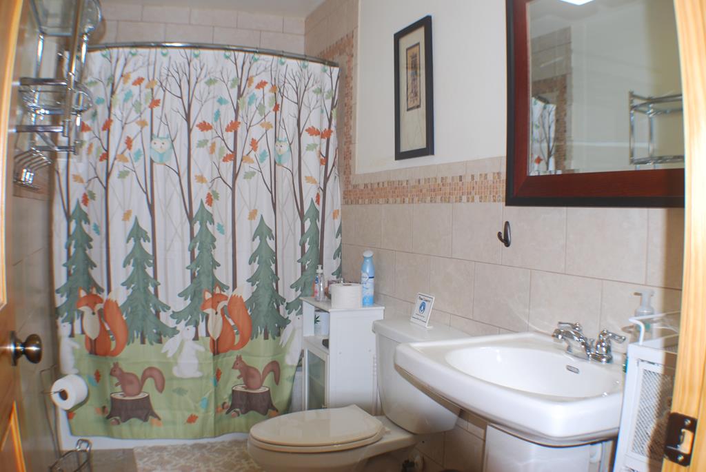 1013 Buck Ridge Drive, MURPHY, North Carolina image 31
