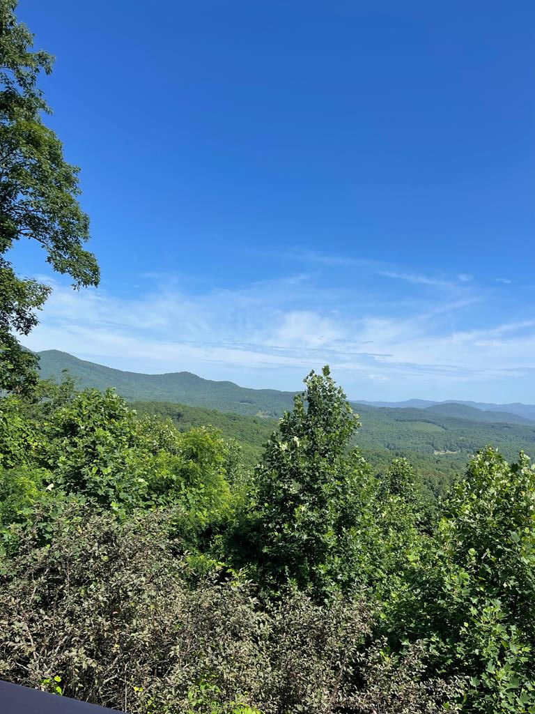 1013 Buck Ridge Drive, MURPHY, North Carolina image 42
