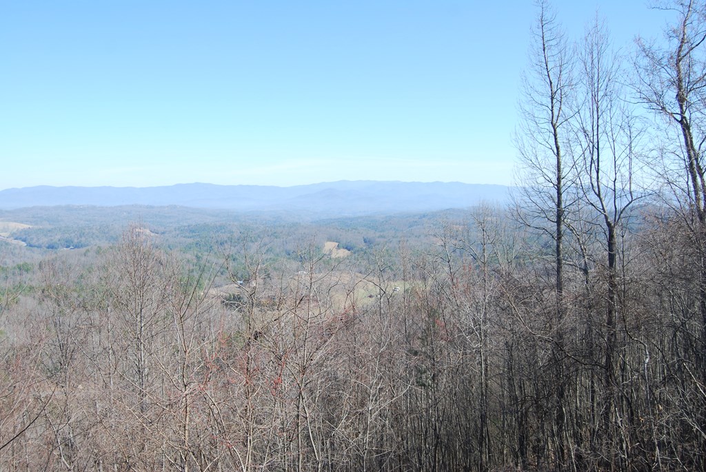 1013 Buck Ridge Drive, MURPHY, North Carolina image 12