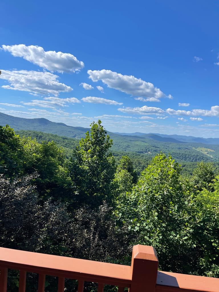 1013 Buck Ridge Drive, MURPHY, North Carolina image 5