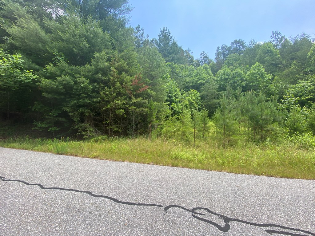 00 Choctaw Ridge #60, MURPHY, North Carolina image 4