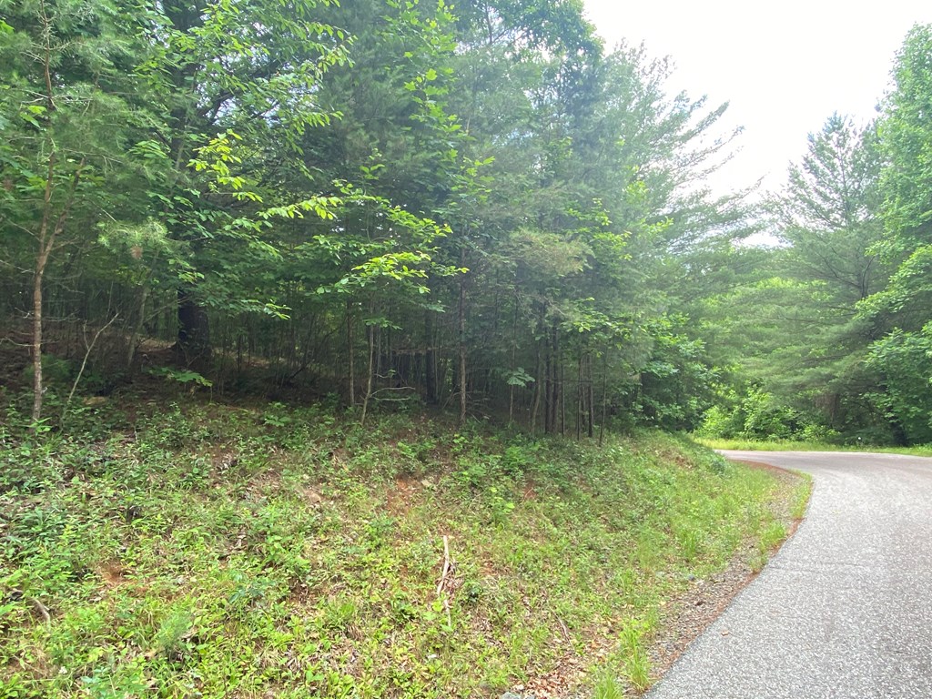 00 Choctaw Ridge #60, MURPHY, North Carolina image 9