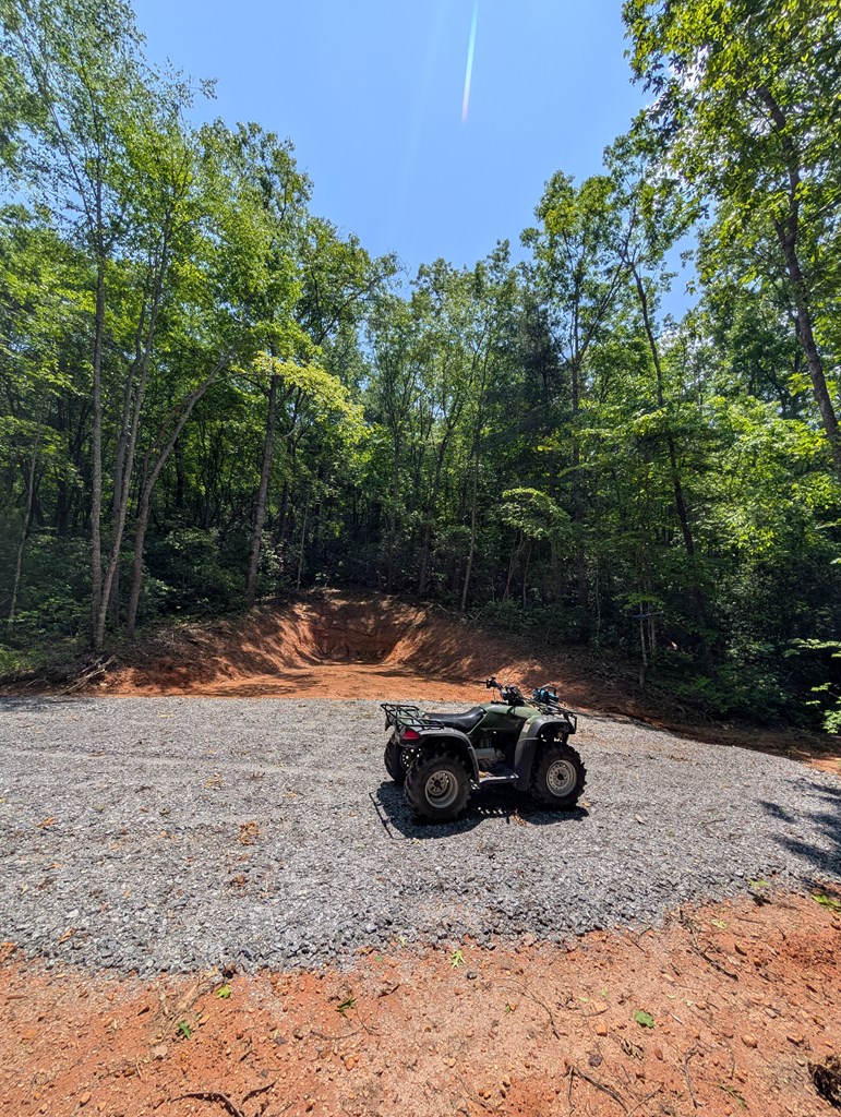30.91 Ac Hwy 64 E @ Old Hwy 64 Junction, HAYESVILLE, North Carolina image 8