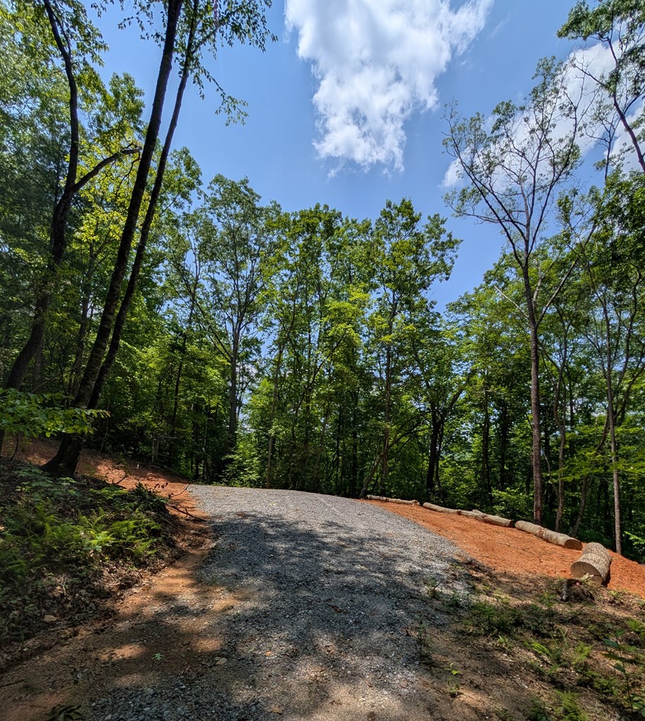 30.91 Ac Hwy 64 E @ Old Hwy 64 Junction, HAYESVILLE, North Carolina image 6
