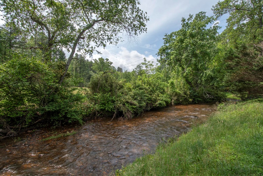 2890 Old Highway 64 E, HAYESVILLE, North Carolina image 2