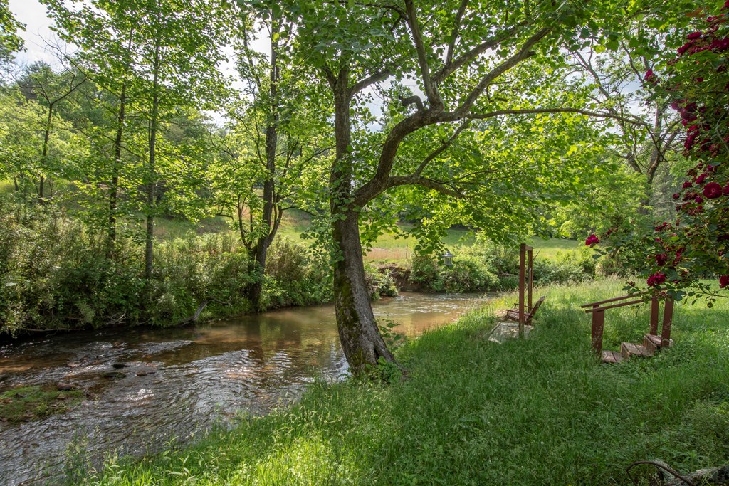 2890 Old Highway 64 E, HAYESVILLE, North Carolina image 33