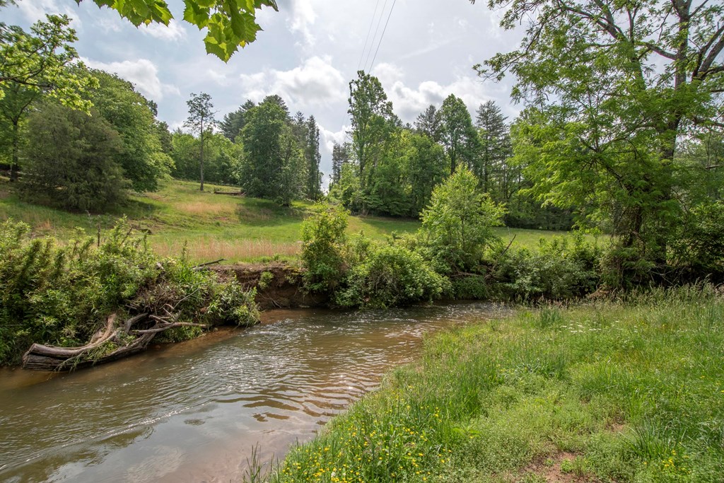 2890 Old Highway 64 E, HAYESVILLE, North Carolina image 6