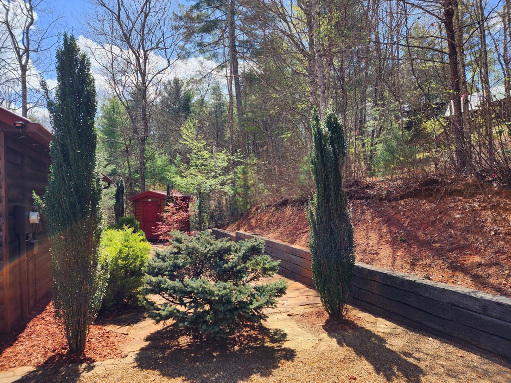 178 Lemon Drop Lane, MURPHY, North Carolina image 11
