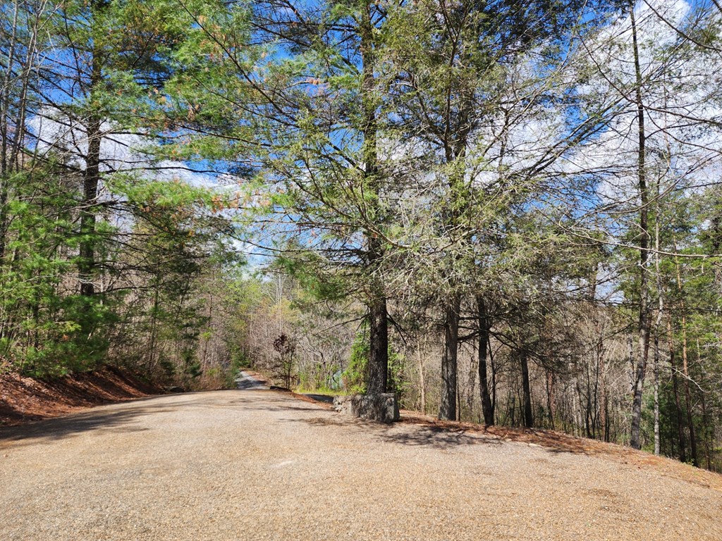 178 Lemon Drop Lane, MURPHY, North Carolina image 10