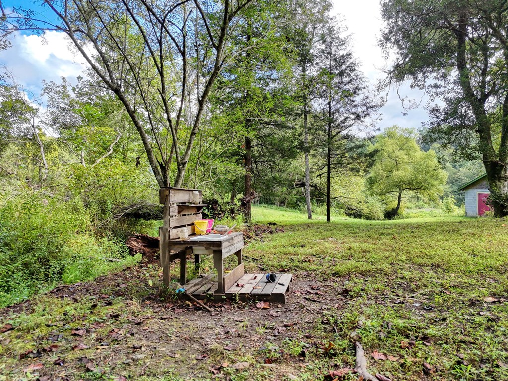 147 Sawyer Cove Rd, HAYESVILLE, North Carolina image 39