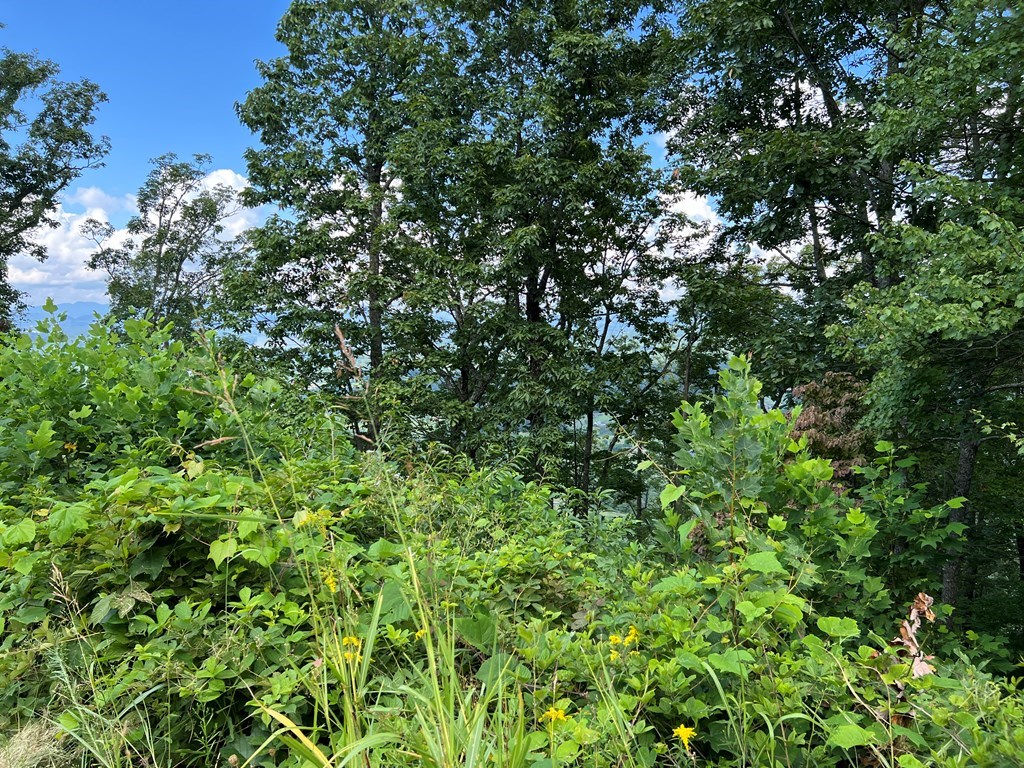 Lot 73M Ridges Overlook #73M, HAYESVILLE, North Carolina image 42