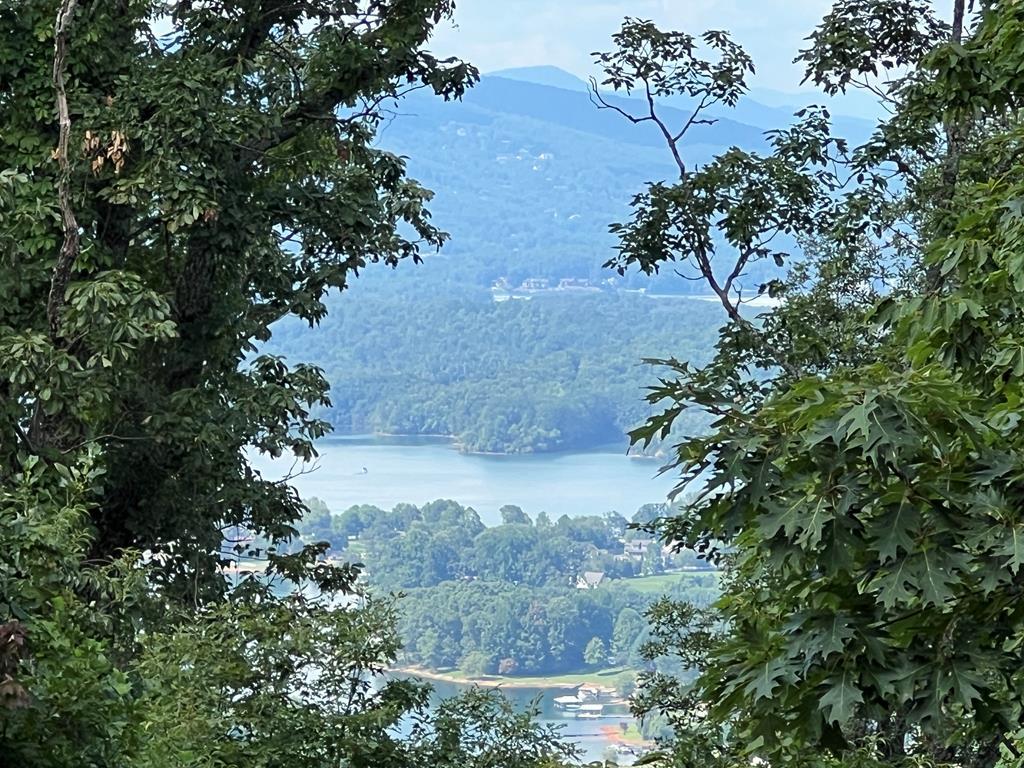 Lot 73M Ridges Overlook #73M, HAYESVILLE, North Carolina image 1