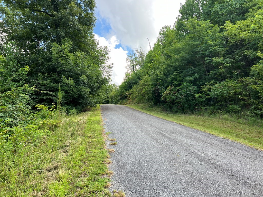 Lot 73M Ridges Overlook #73M, HAYESVILLE, North Carolina image 3