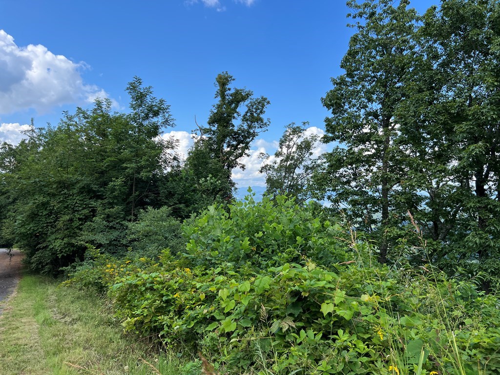 Lot 73M Ridges Overlook #73M, HAYESVILLE, North Carolina image 44