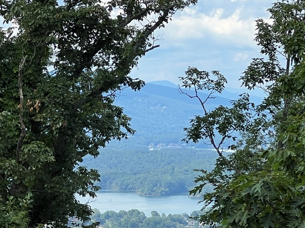 Lot 73M Ridges Overlook #73M, HAYESVILLE, North Carolina image 45