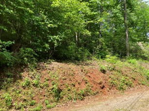 1275 Taylor Road, HIAWASSEE, Georgia image 40