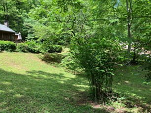 1275 Taylor Road, HIAWASSEE, Georgia image 46