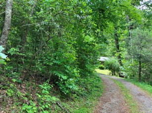 1275 Taylor Road, HIAWASSEE, Georgia image 50