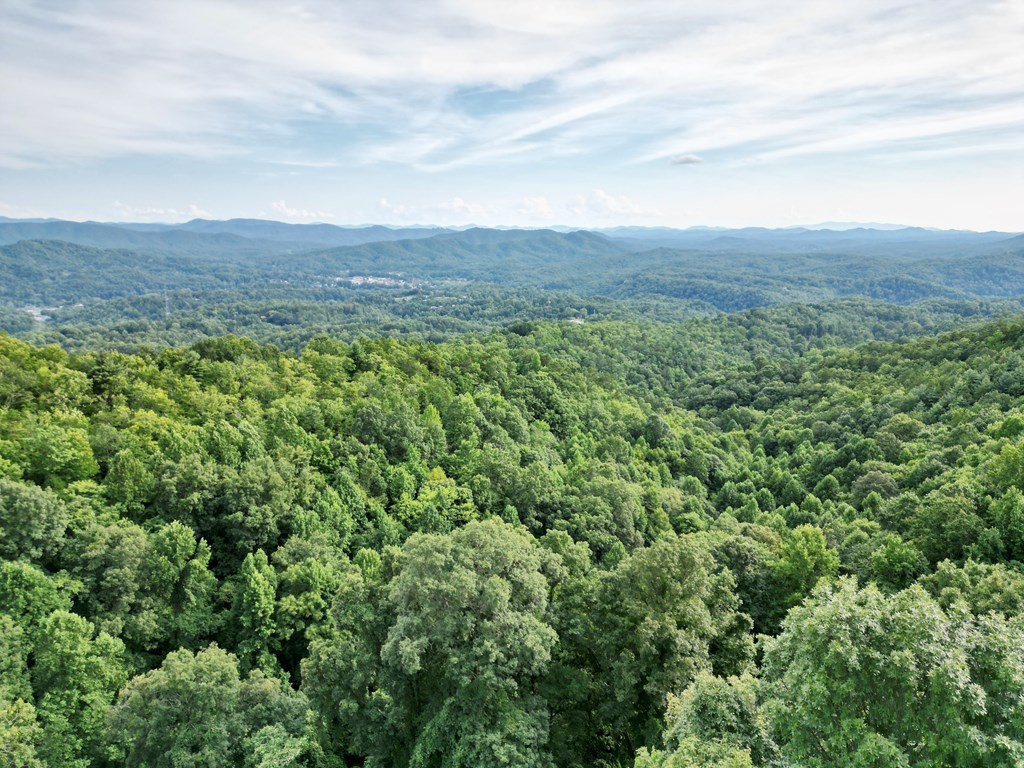 64.41 Fain Peak, MURPHY, North Carolina image 3
