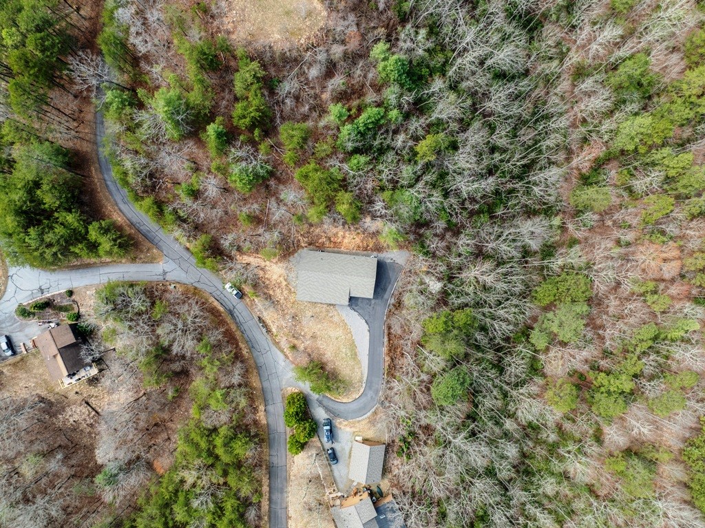 1138 Wildcat Drive, MURPHY, North Carolina image 6