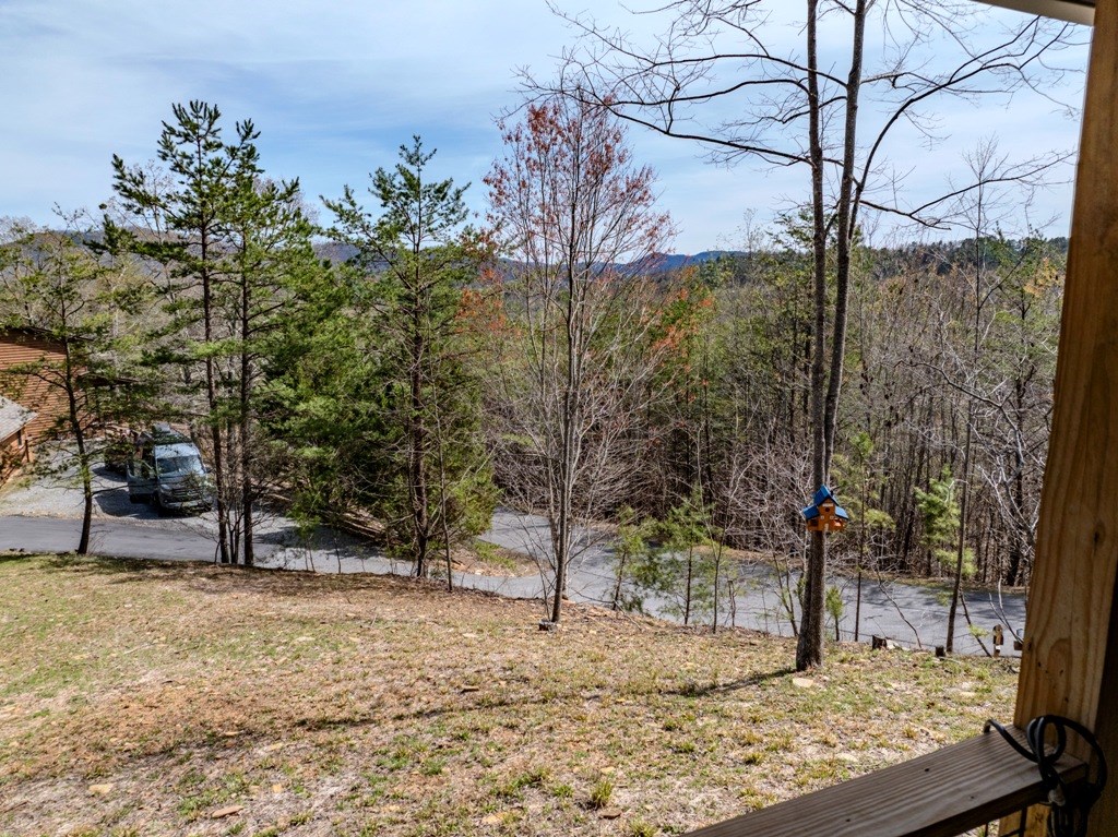 1138 Wildcat Drive, MURPHY, North Carolina image 5
