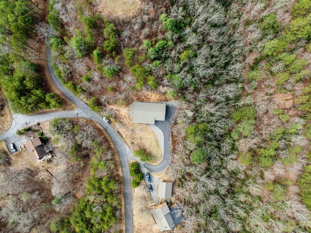 1138 Wildcat Drive, MURPHY, North Carolina image 8