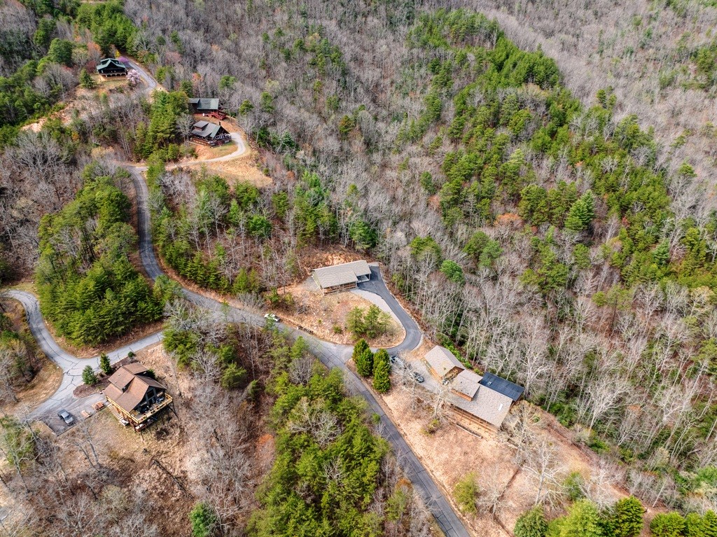 1138 Wildcat Drive, MURPHY, North Carolina image 9