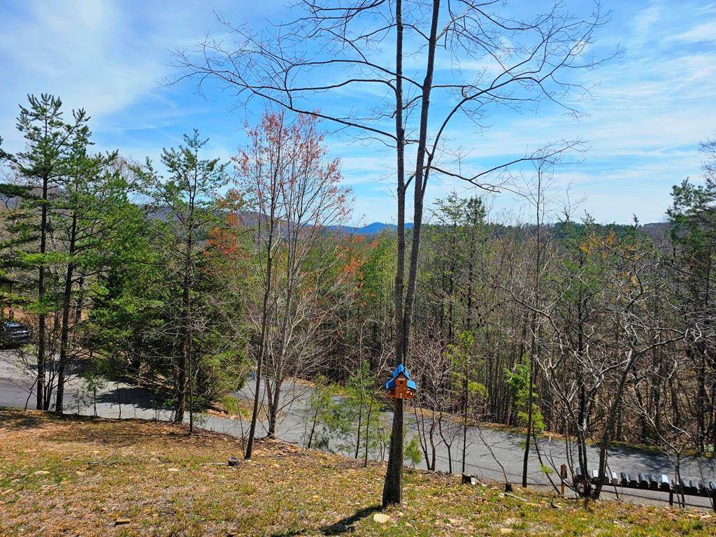1138 Wildcat Drive, MURPHY, North Carolina image 14